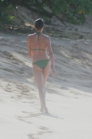 cameron_diaz_cameron_diaz_bikini_in_hawaii_012207_2_WLDO600.sized.jpg