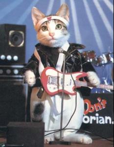 rockcat.jpg