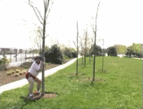 post-16964-0-1446130504-91831_thumb.gif