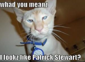 patrick_stewart_cat.JPG