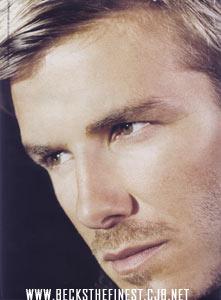 2004233ho.jpg