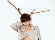 th_82dbec60276168.gif