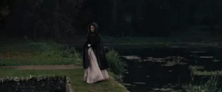 post-35528-1293946011_thumb.gif
