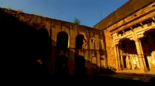 post-35528-1294714267_thumb.gif