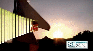 post-35528-1294714386_thumb.gif