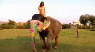 post-35528-1294714586_thumb.gif