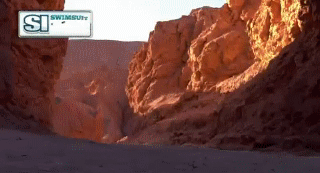 post-35528-1294715544_thumb.gif