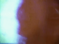 post-35528-1294879987_thumb.gif