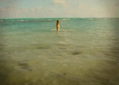 post-35528-1294880030_thumb.gif