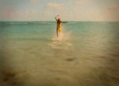 post-35528-1294880087_thumb.gif