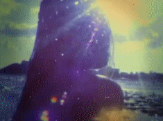 post-35528-1294880131_thumb.gif