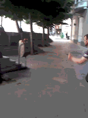 QZLx0.gif
