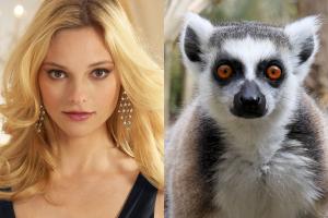 fabiana_lemur.jpg