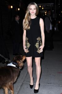ASeyfried_V_11Dec12_rex_b.jpg