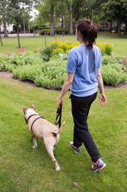 lonneke-walking-dog.jpg