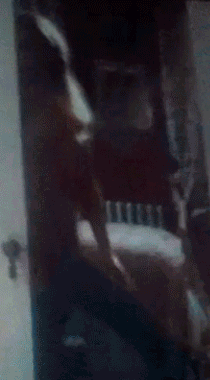 post-46718-0-1446060928-26807_thumb.gif
