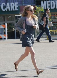 Amanda_Seyfried_Justin_Long_Shop_Whole_Foods_-r_I.jpg