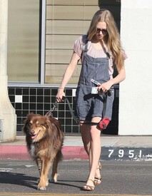 Amanda_Seyfried_Justin_Long_Shop_Whole_Foods_Wk1.jpg