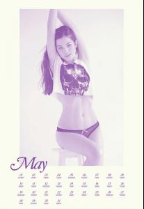 s0k0zine-calendar-may2010.jpg