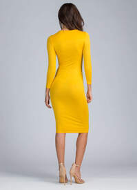 113856-e-mustard-2.jpg