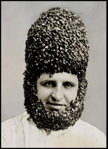 Beehive.jpg