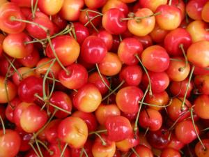 cherries01fullbr3.jpg