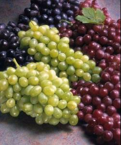 grapes2.jpg