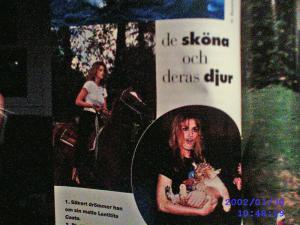 cindyhorsetiger.jpg