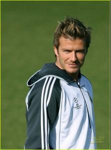 24529_david_beckham_fight_01_122_165lo.jpg