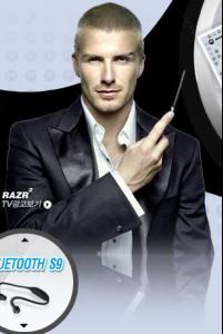 becks_korea4.jpg