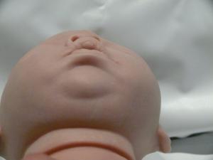 post-8181-0-1446135600-79248_thumb.jpg