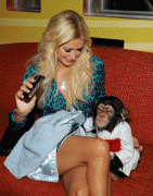 th_735acc67929430.gif