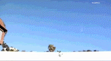 post-34463-0-1446118778-27077_thumb.gif