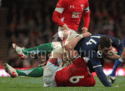 th_51be0d69805143.gif