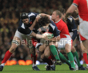th_d7462d69805154.gif