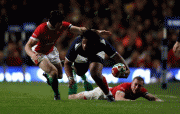 th_8db8c069805973.gif