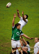 th_95a72f69902807.gif