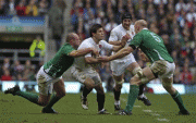 th_045cca69904013.gif
