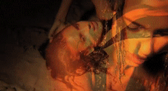 post-35528-1297572766_thumb.gif