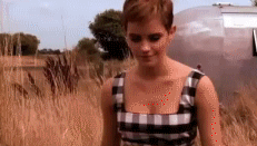 post-35528-1297653414_thumb.gif