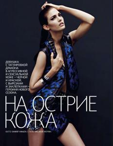 Vogue_Russia_Feb_2011.JPG