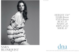 dna_sara_blomqvist.jpg