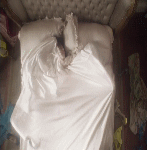 post-35528-0-1446068309-51809_thumb.gif