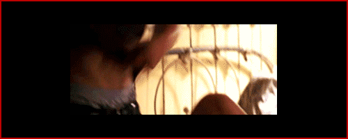 post-39932-0-1446082326-75443_thumb.gif