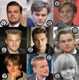 leonardo-decaprio-hair-poll.jpg