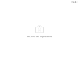4810423906_4fa4b54f57_z.jpg.png