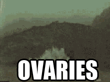 post-52646-0-1446082486-94695_thumb.gif