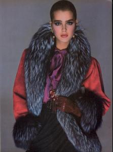 brooke-shields-avedon-5.jpg