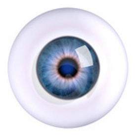 eye_eyeball_thumb32322811.jpg