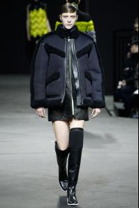 Alexander_Wang_hedvig_palm.jpg